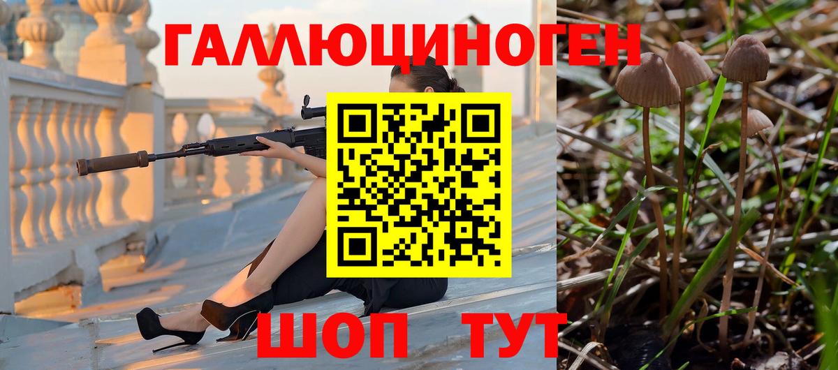 Псилоцибиновые грибы мицелий Кыштым