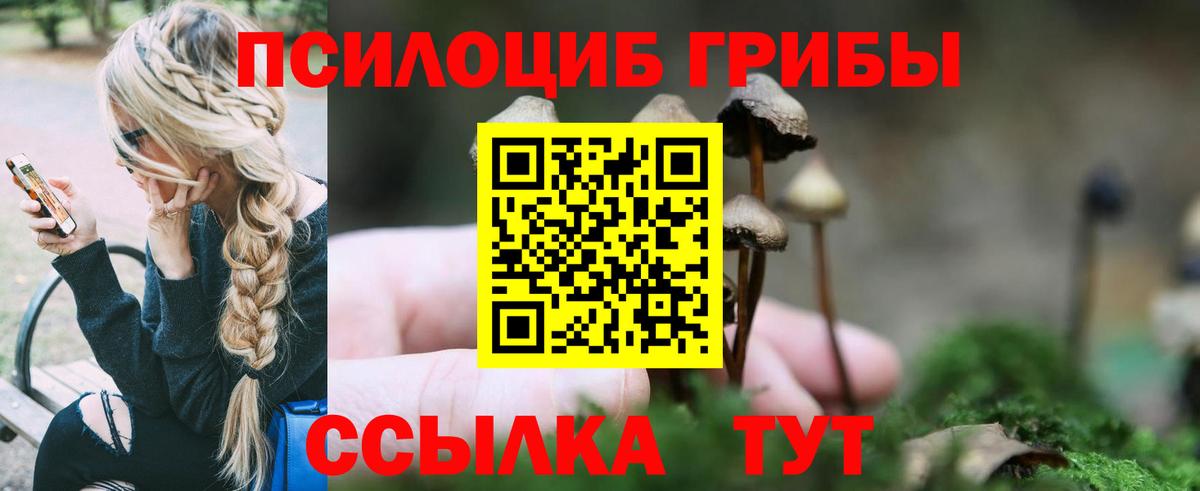 Галлюциногенные грибы мухоморы  Галлюциногенные грибы Psilocybe  Кыштым  Вход с VPN 