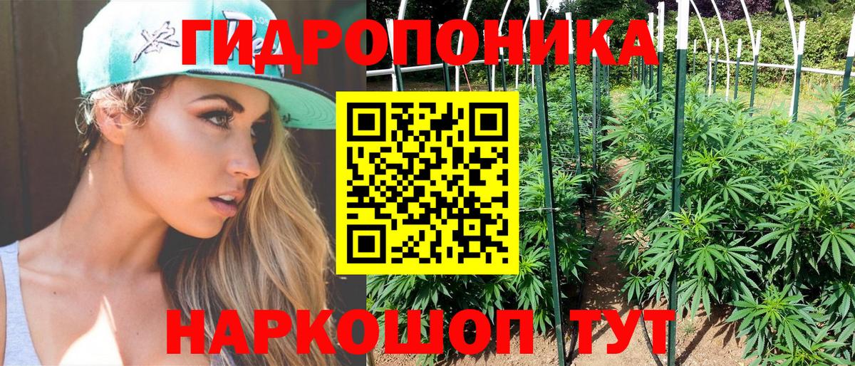 Канабис сатива  Вход с VPN  Каннабис гибрид  Кыштым 